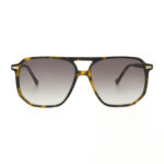 GV 3515 Brown Tortoise