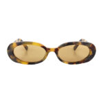 GV 433 Yellow Tortoise