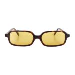 GV 661 Brown Yellow